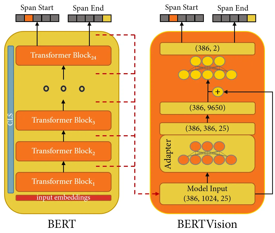 BERTVision QA Model architecture diagram